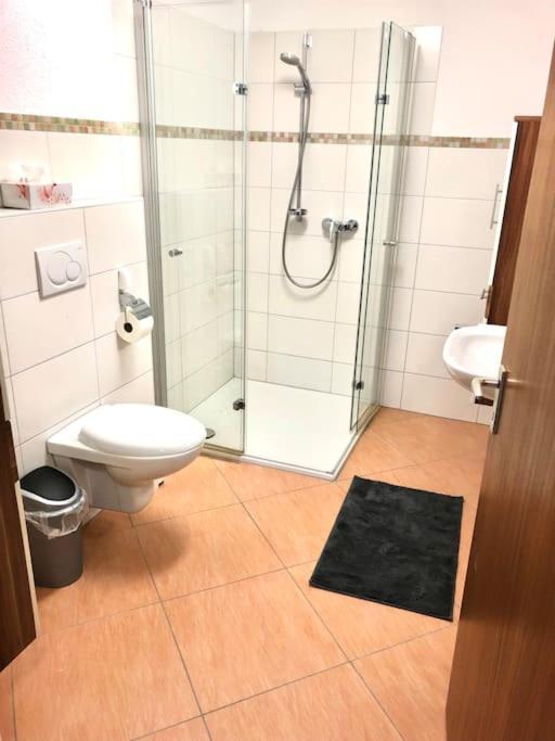 Schoene Ferienwohnung Direkt Am Neckar Deisslingen Экстерьер фото